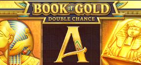 Playson Book of Gold Double Chance