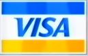 Visa Logo Alt